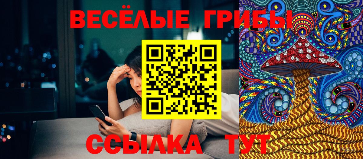 Псилоцибиновые грибы Psilocybe Донецк
